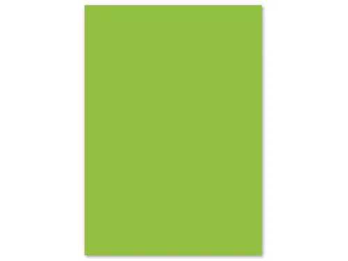 papier Kangaro A4 120 gram pak a 100 vel groen