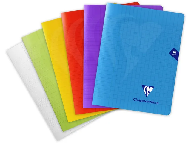 Schrift Mimesys 17x22cm 24 vel Seyès, kaft in PP assorti