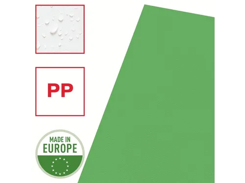 Insteekmap L-map Esselte Standaard A4 0.11mm Pp Groen