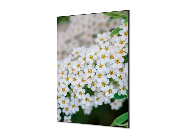 Wanddecoratie Textiel Set A1 Witte Bloem Spirea