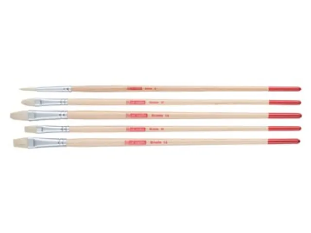 Penselenset Varkenshaar 5 Stuks Assorti