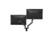 Bras pour 2 écrans AM420BV 34 inch Noir