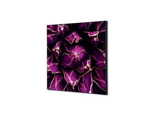 Wanddecoratie Textiel Set 40x40cm Cactus Paars