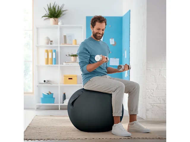 Leitz Ergo Cosy Actieve Zitbal Fluweel Grijs