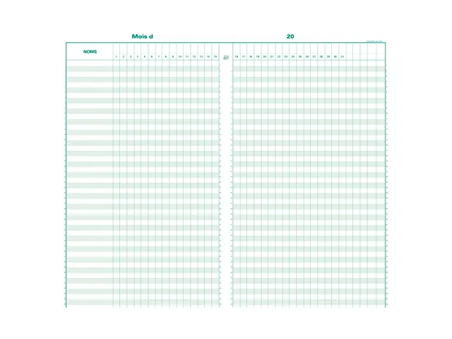 Piqûre 40x24cm - Pointage 46 lignes 80 pages - Couleurs assorties