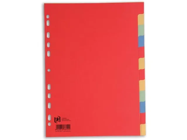 Elba Tabbladen A4 11-Gaats 12-Delig 160gr Assorti