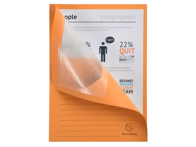 50 Venstermappen Forever 22x31cm Assorti