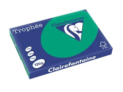 Trophée Intens gekleurd papier A3 120 gram 250vel Dennengroen
