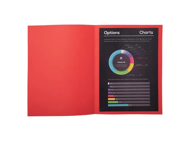 100 dossiermappen ROCK''S 220 24x32cm Rood