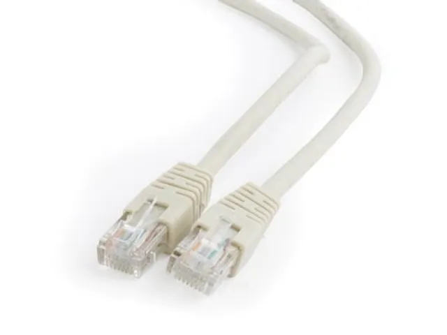 netwerkkabel UTP CAT6 1m