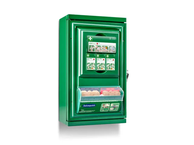Cederroth 291400 EHBO-kast mini, afsluitbaar, per stuk