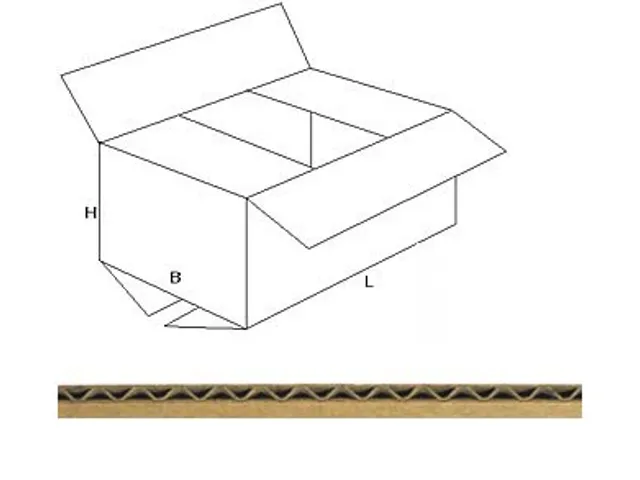 Boîte d'expédition, cannelure, brun, ft 305 x 220 x 150 mm