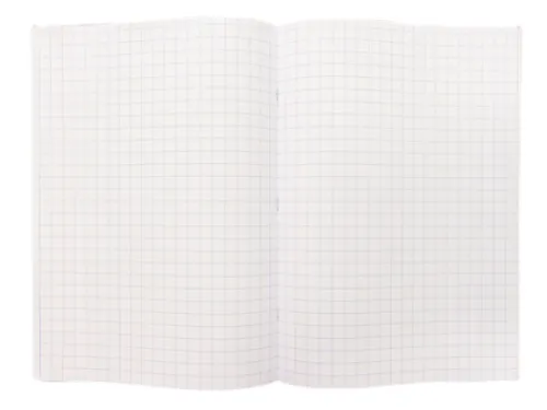 Schrift Kangaro A4 ruit 10mm 160 pagina's 60gr assorti pak à 5 stuks