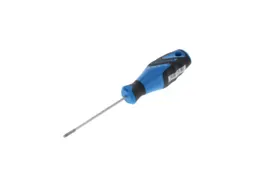 2163 Schroevendraaier TX T10 3C