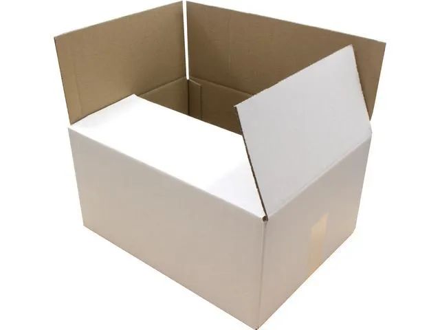 Verzenddoos Raadhuis 560x540x100mm EB-golf wit