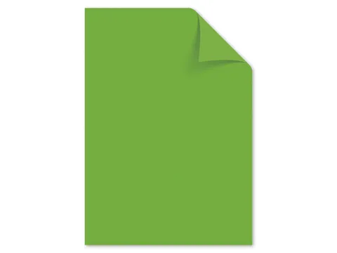 Papier Kangaro A4 80grs groen pak 100 vel