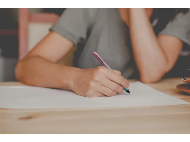 Rollerball Schneider Voyage Tulip