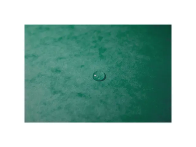 Elastomap Nature Future A4, 400 g/m², groen karton