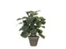 Kunstplant Mica Pilea in pot Ø11,5cm 35x25cm