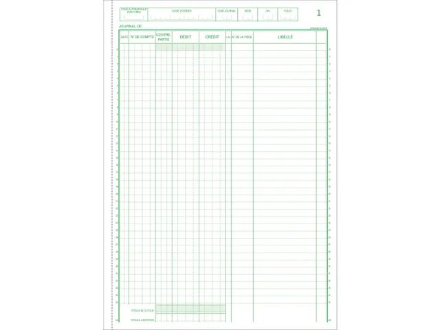 Manifold input data 29,7x21 50bl dupli