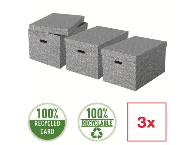 Esselte Home Grote Opbergdoos Grijs 355x305x510mm Set van 3