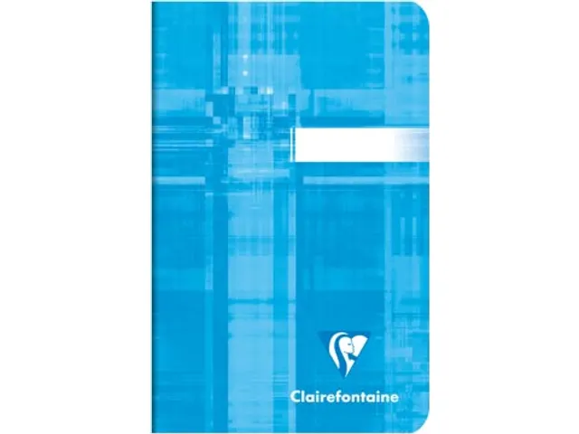 notitieboekje Metric ft 90x140mm, geruit 5mm, 96 blad Assorti