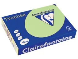 Trophée Pastel gekleurd papier A4 160 gram 250vel Groen