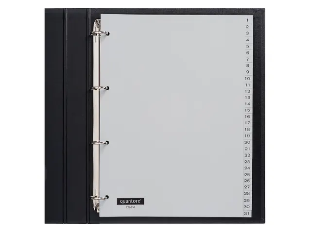 Tabbladen Quantore A4 4-Gaats 1-31 Genummerd Grijs Pp