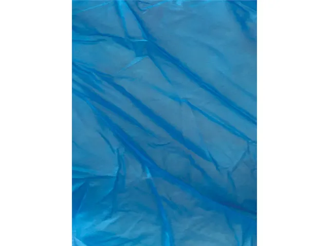 Wegwerphandschoen Arco Essentials vinyl blauw XL 100st
