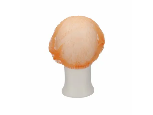 CMT Haarnet Clip cap pp non woven oranje Maat L ca 53cm 1000 Stuks