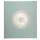 Fotoalbum Exacompta 29x32cm 60 witte pagina's Ellipse groen