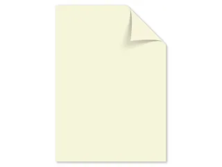 Papier Kangaro A4 120grs ivoorwit pak 250 vel - 1