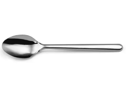 Leaves lepel uit inox, set van 20 stuks