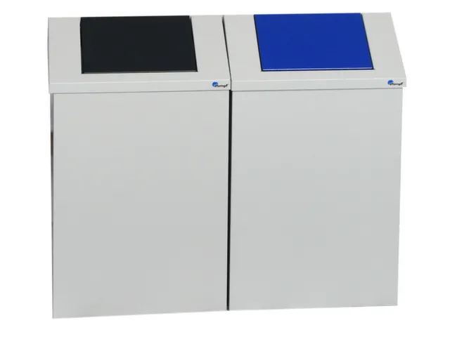 afvalbak,dubbel veld,2x45l,HxBxD 570x330x310mm,2opening(en)