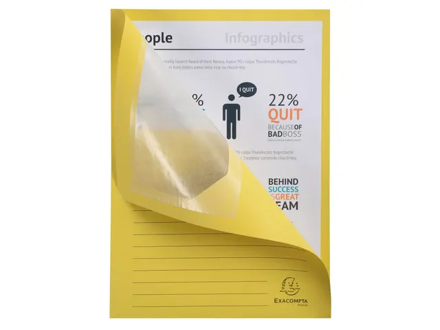 50 Venstermappen Forever 22x31cm Assorti