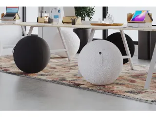 Ergoball ergonomische zitbal wit Ø 65 cm. - 5