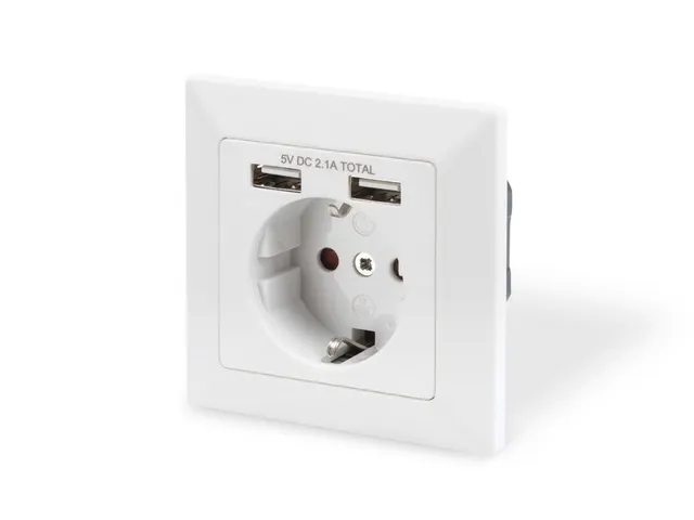 Veiligheidsstopcontact voor inbouwmontage met 2 USB-poorten