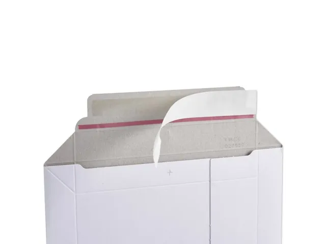 Karton Envelop Wit 248x351x50mm 500gram Kleefbare Strip 100 Stuks