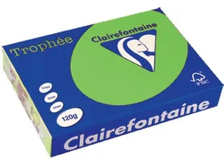 Trophée Intens Gekleurd Papier A4 120 gram 250vel Grasgroen - 1