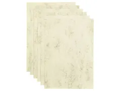 Kopieerpapier Papicolor A4 200gr 6 vel marble ivoor