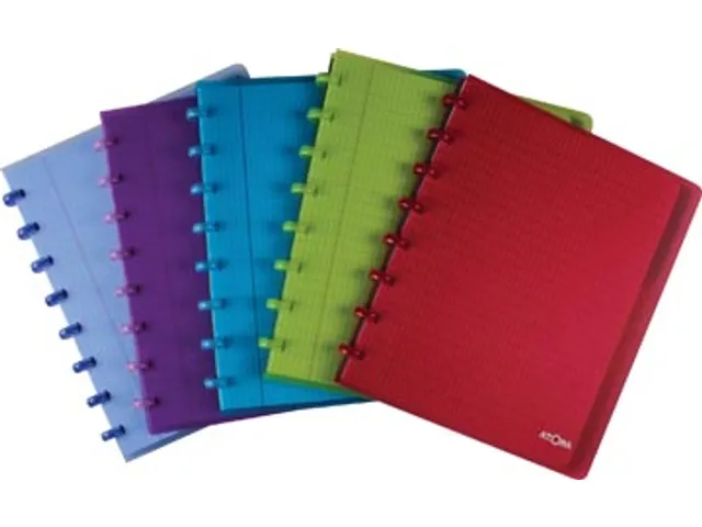 Schrift Commercieel Geruit A5 Assorti