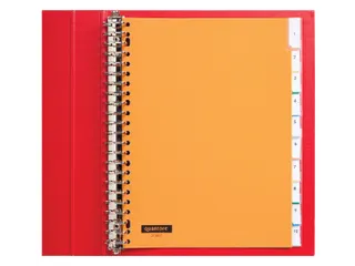 Tabbladen Quantore A4 23-Gaats 10-Delig Met Venster Assorti Pp - 1