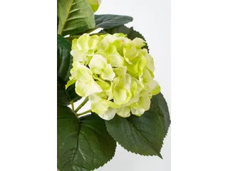Kunstplant Mica Hortensia in pot groen 35x40cm - 5