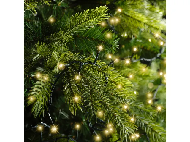 Kerstverlichting Lumineo 750 LED-lampjes 16 meter groene kabel