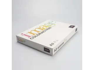 Kopieerpapier Forest Middelgroen A3 120 Gram 250 Vel - 1