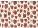 Rotolux Apparaatrol Strawberry 200mx30cm inpakpapier