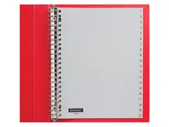 Tabbladen Quantore A4 23-Gaats 1-20 Genummerd Grijs Pp