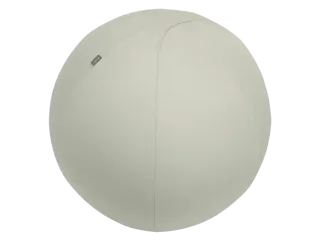 Leitz Ergo actieve zitbal anti-rol met stop-functie 75cm lichtgrijs - 1