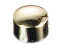 Magneten Prestige Goud 10mm