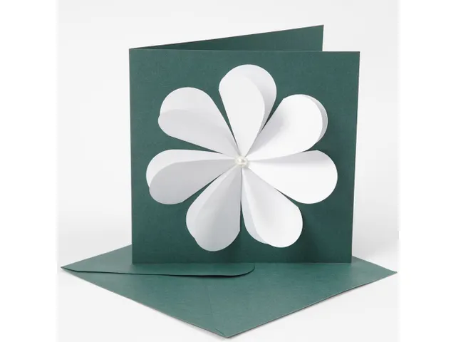 Creativ Company ponsen set cirkelvormig 3 stuks